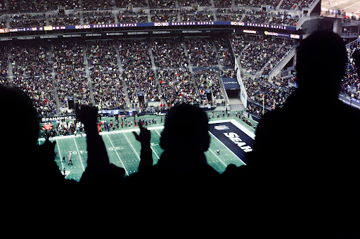 silhouette-of-fans-in-stadium